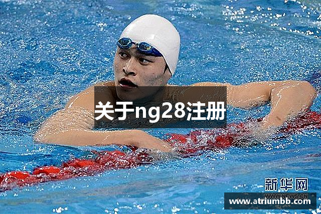 关于ng28注册